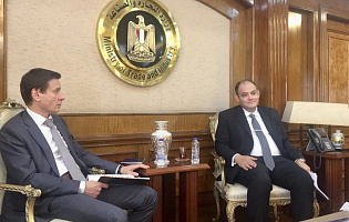 ЕАЭС и Египет обсудили перспективы завершения переговоров по соглашению о свободной торговле