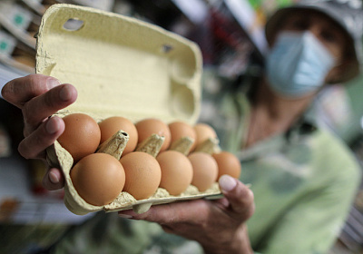 Правительство обнулит ввозную пошлину на яйца